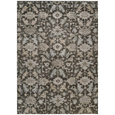 Machine Washable Indoor/Outdoor Wagenen ACN2358 Traditional Rug