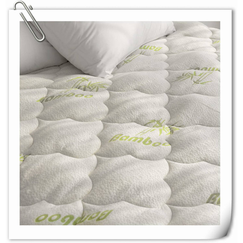 Surmatelas de 23 po Stayner Alwyn Home, Très grand