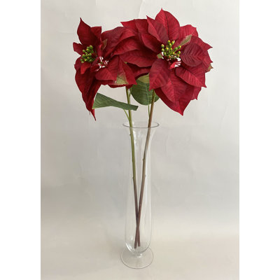 TIGE DE POINSETTIA D'ASPECT NATUREL