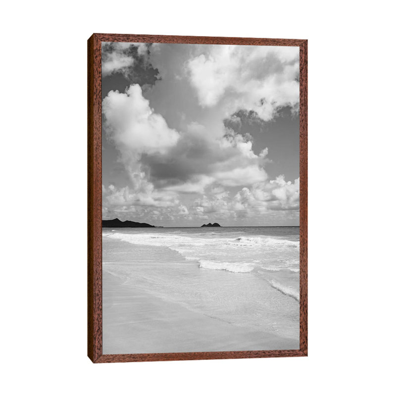 Monochrome Hawaii by Bethany Young - Print on Canvas, Classic Brown Wood Framed, 152.4cm H x 101.6cm W x 3.81cm D