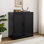 Parineeti 36'' Kitchen Pantry