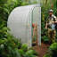 Jardin d'extérieur Lean to Greenhouse