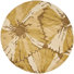 Brown/Ivory