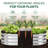 Evalyn Metal Outdoor Raised Garden Bed