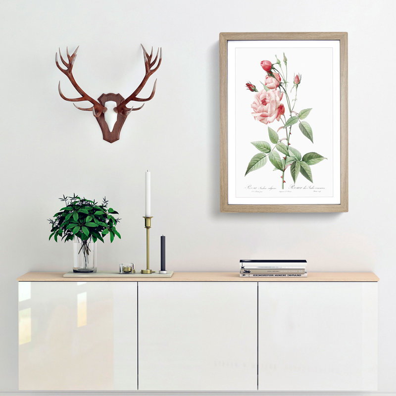 Pink Blush China Rose by Pierre-Joseph Redoute - Picture Frame Painting Print, 65cm H x 48cm W x 2cm D, Oak Framed