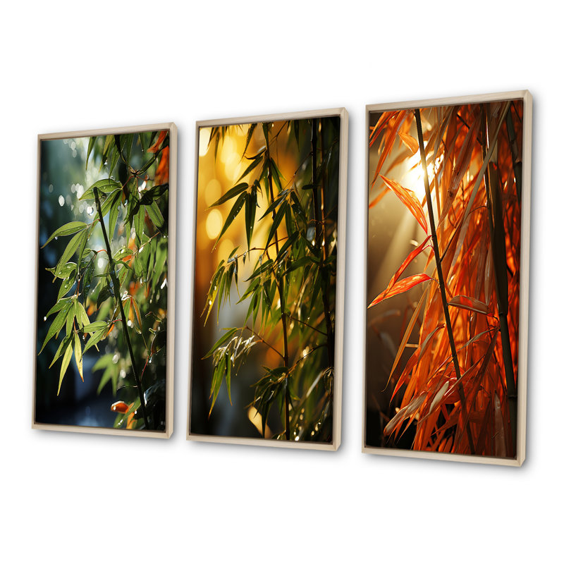 Bamboo Sunset Photography, Cadre flottant brun, H 28 po x l 36 po