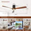 60 pouces Ventilateur de plafond à DEL encastré intérieur / extérieur noir mat avec pales en bois, télécommande CC 6 vitesses