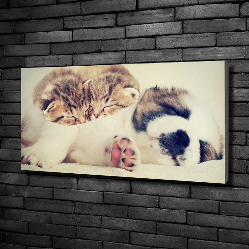 Two Cats And A Dog - No Frame Print on Canvas