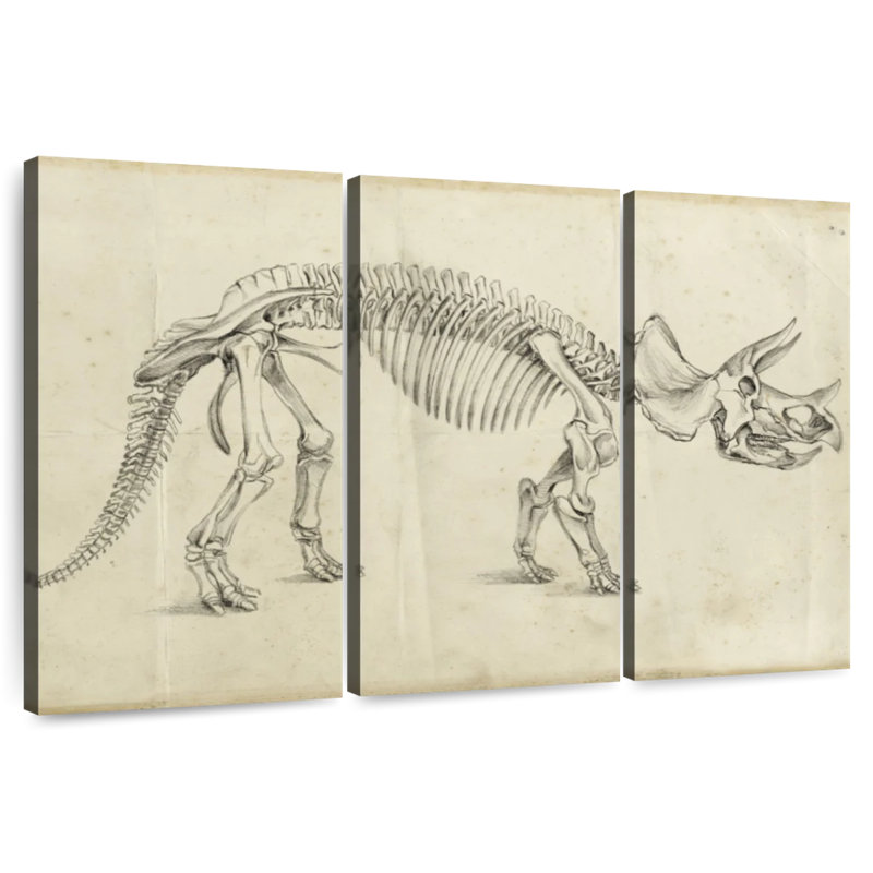 Dinosaur Study II, 20" H x 33" W