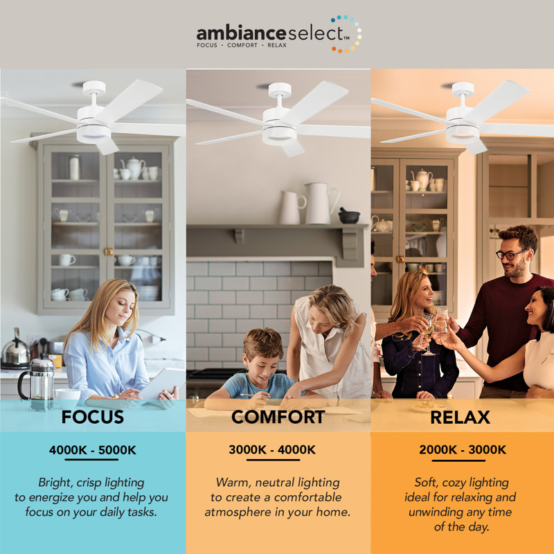 52" White LED Light Indoor/Outdoor Ceiling Fan with Remote Control