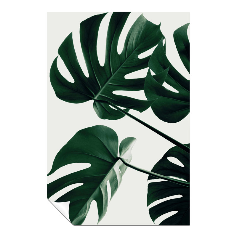 Green Monstera Natural Plant Leaves - No Frame Print, 31cm H x 20cm W x 1cm D