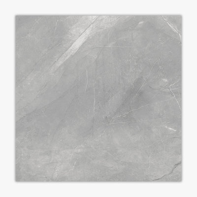 Carreau de mur et de sol en porcelaine 24 po x 24 po