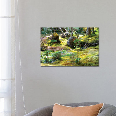 Beautiful Moss Garden by Philippe Hugonnard - Wrapped Canvas Photograph