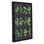 « herb chart », impression encadrée en noir et vert
