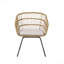 Chaise d'extérieur, 2 pièces avec 2 coussins