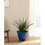 Ensemble de 2 pots à fleurs ronds en céramique artificielle bleu cobalt 15,5 "-995547849-995547891