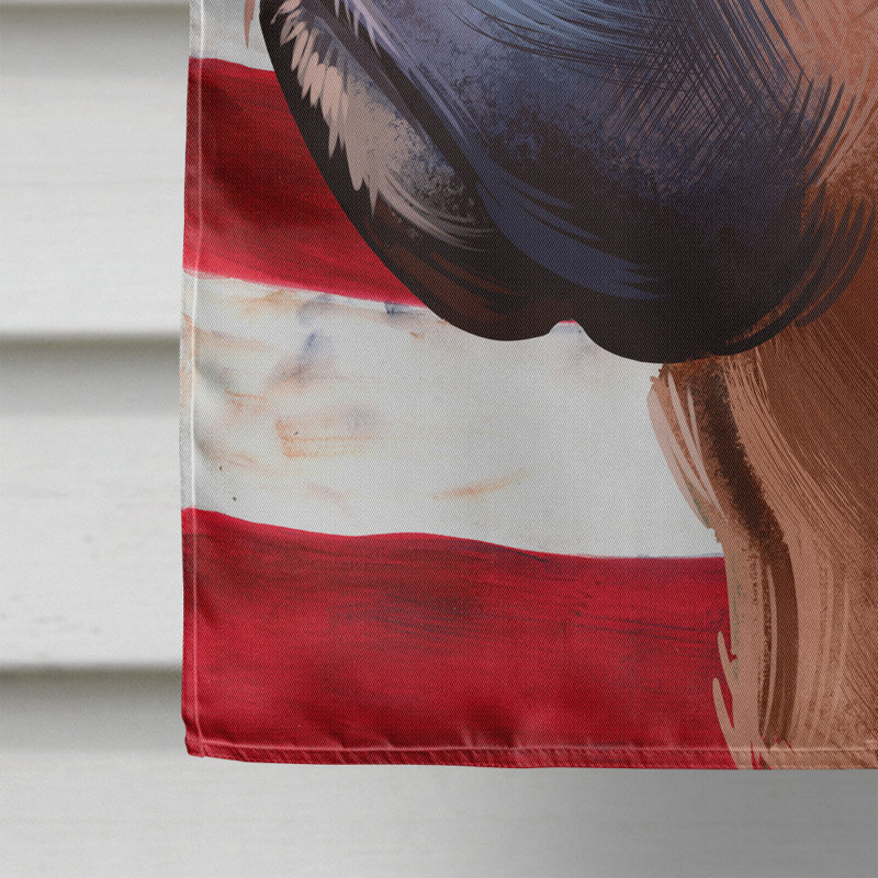 Polyester à 2 côtés 28 x 40 po drapeau maison, Boxer