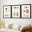 Shell Collection I - Impression sur mesure encadrée de qualité supérieure - 3 pièces-992300477-992300479