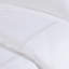 Ensemble d'édredon brodé en satin de coton 100% très grand / très grand californien avec insert hypoallergénique et design élégant-119369621-119369624