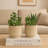Jaylun Polyresin Table Vase-1414998758