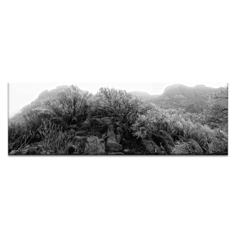 Andrew Brown - Print on Canvas