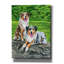 «Two Australian Shepherd Dogs» par Rebecca Wang, art mural sur toile-1557805985