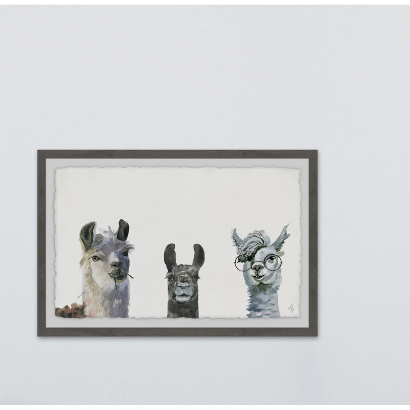 Art encadré Agawam Llama Squad, H 12 po x l 18 po, Cadre brun