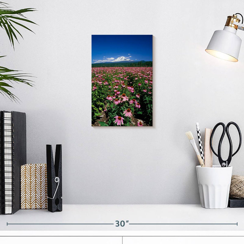 Harnek Echinacea Field, 12" H x 8" W