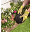 Perma Mulch Permanent Border