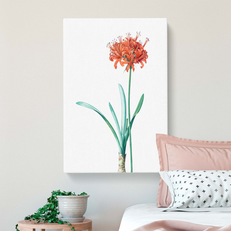 Guernsey Lily Flower by Pierre-Joseph Redoute - Wrapped Canvas, 76cm H x 50cm W x 3cm D