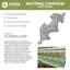 Médaillon de plafond Endyathane Remy, P 13 3/8 po x P 7/8 po, apprêté en usine