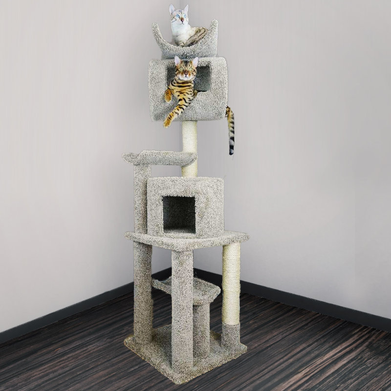 Arbre à chat multi-niveaux New Cat Condos, Brun