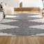 Tapis blanc / gris à poils longs à rayures géométriques Collenn-1627415356