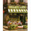 Fleurs de Provence-713059696