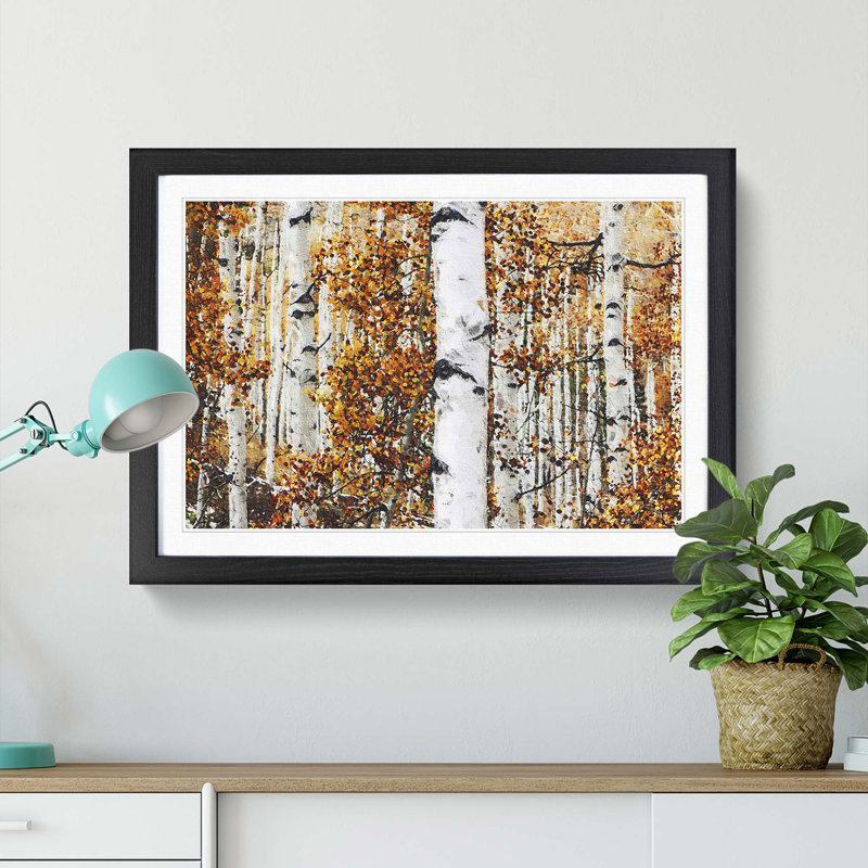 Birch Trees in Autumn - Framed Print, 33cm H x 45cm W x 2cm D, Black Framed