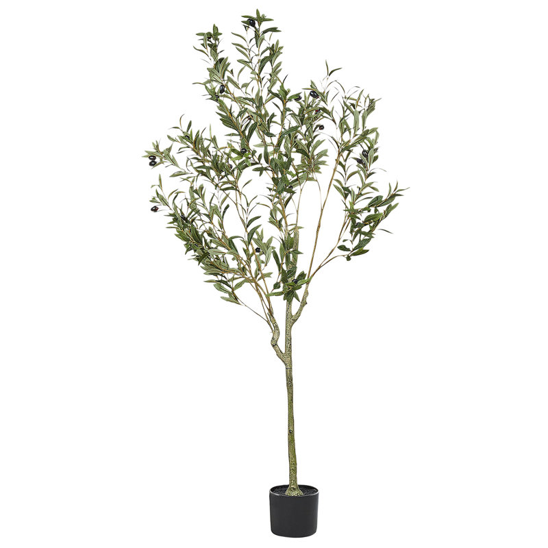 153cm Faux Olive Tree Tree in Plastic / Acrylic Planter