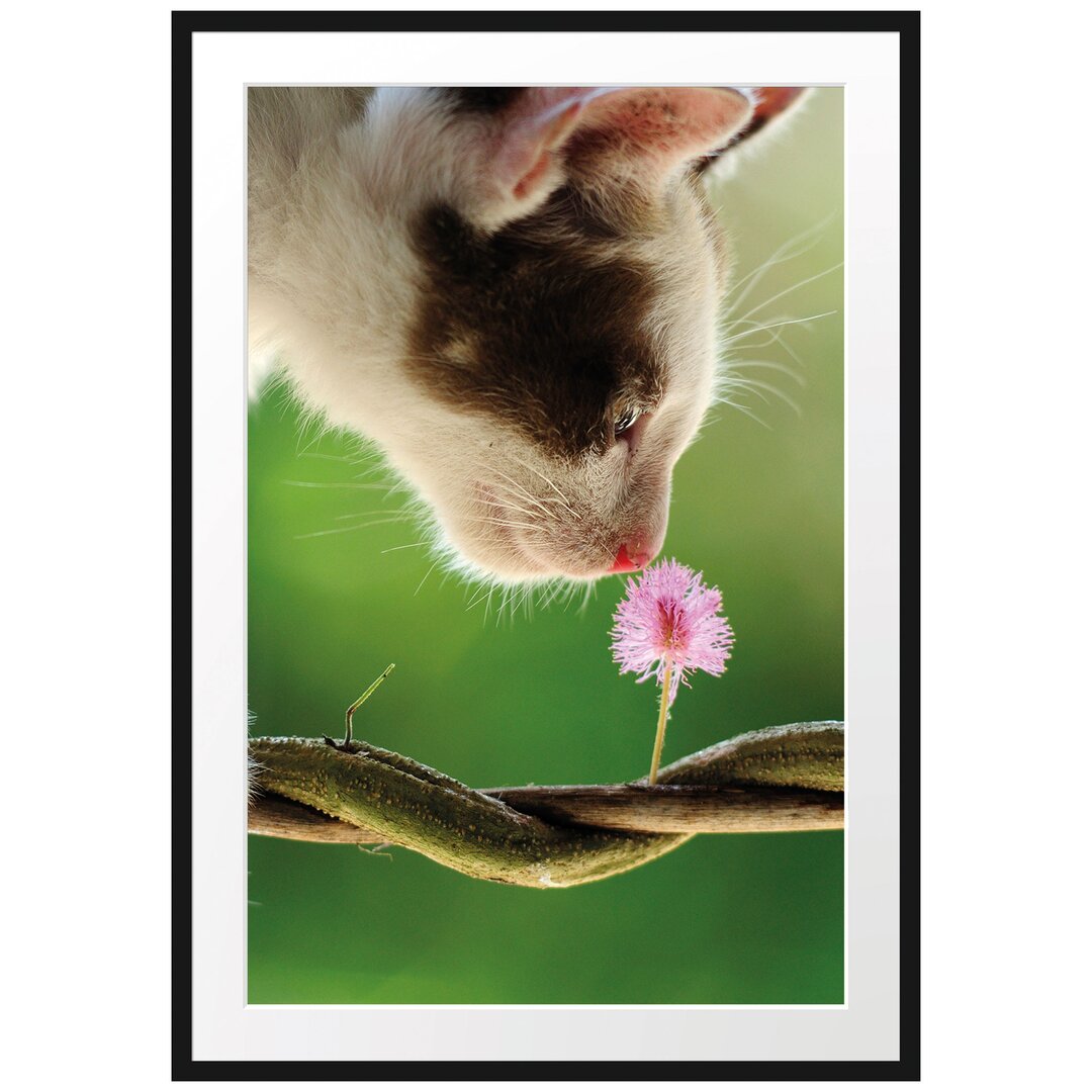 Gerahmtes Poster Süßes Kätzchen mit Blüte