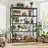 Nabhya 5 Tier Adjustable Shelving Unit with Wheels 35.4"W-188010957-200274410