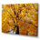 " Autumn Maple Tree "