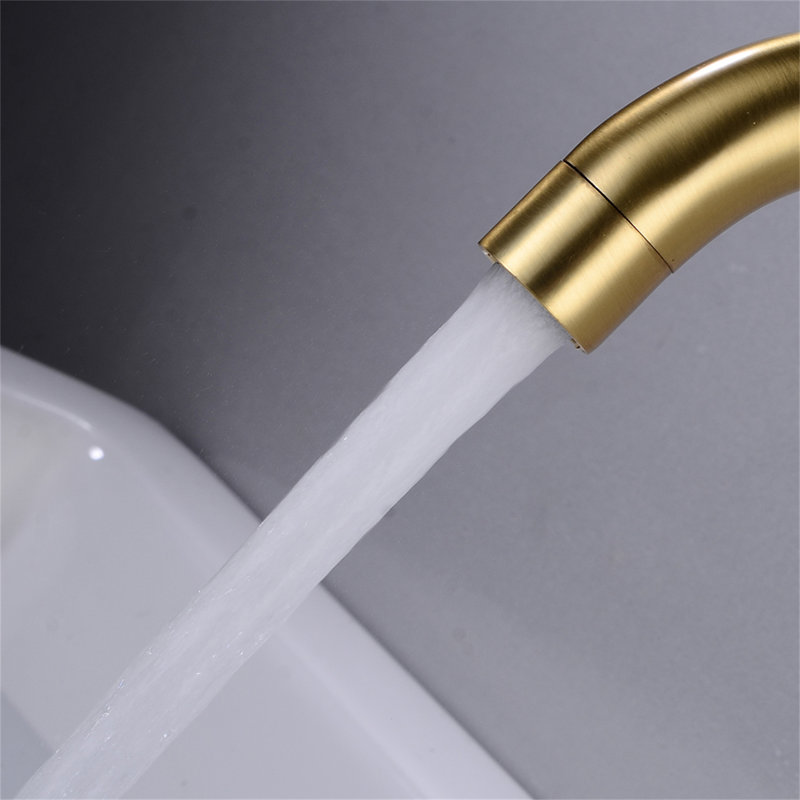Wall Mounted Optional 2-handle Bathroom Faucet