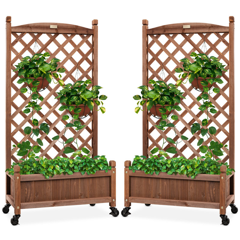 2 Robbie 48 in. Wood Planter Box & Diamond Lattice Trellis, with Drainage, Optional Wheels