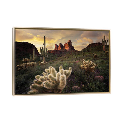 Arizona Desert Sunset