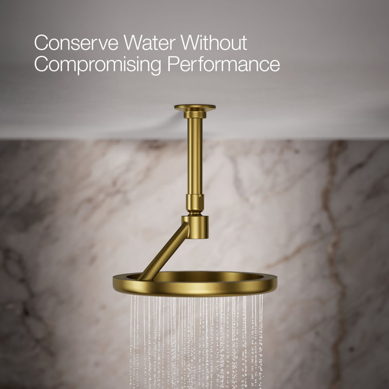 Flood Adjustable Shower Head, Vibrant Brushed Moderne Brass