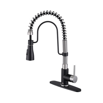 Bolden CASAINC 1.8 GPM Spring Neck Pull Down Kitchen Faucet with Deck Plate