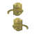 Satin Brass selected