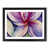 Black Framed selected