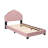 Velvet Upholstered Platform Bed with Shell Headboard