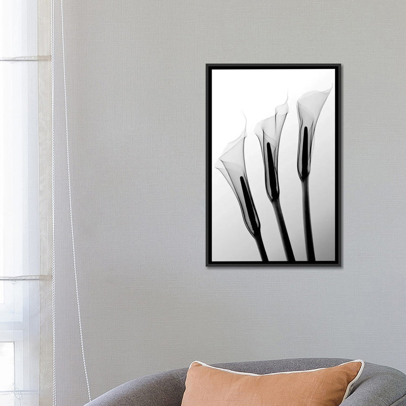 Callas I par Hong Pham - reproduction de photo, Toile avec cadre noir, H 26 po x l 18 po x 1,5 po