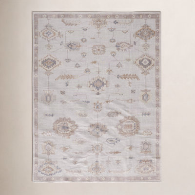 Winslet Light Gray Brown Hand-Knotted Oriental Rug