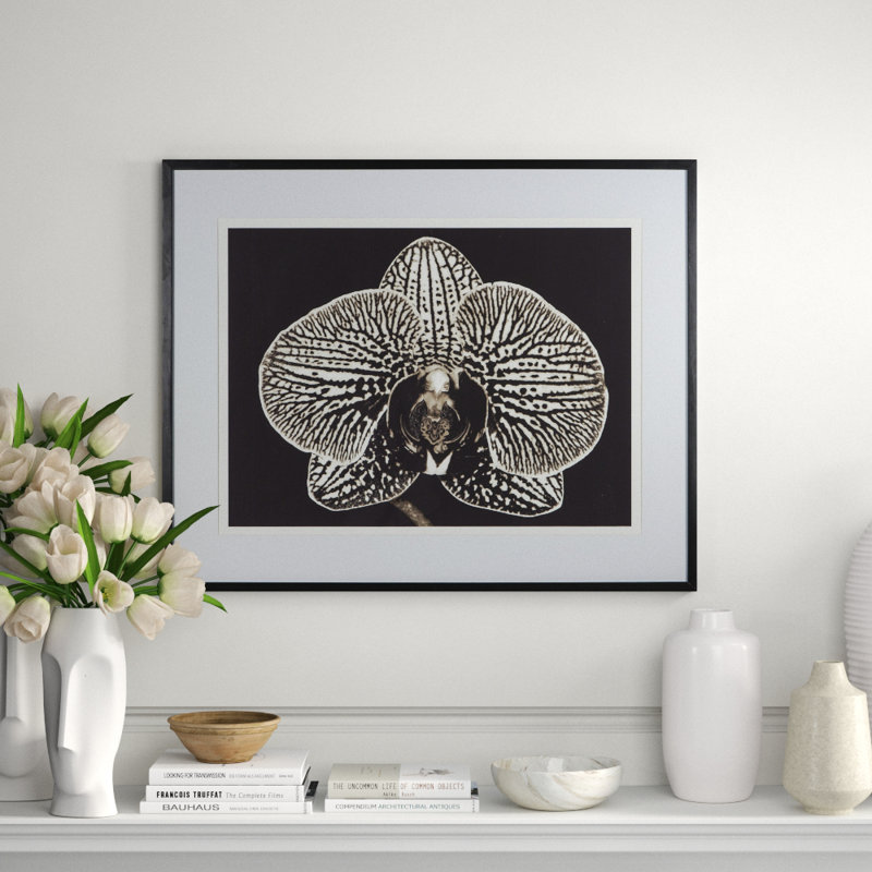 Black Orchid Print